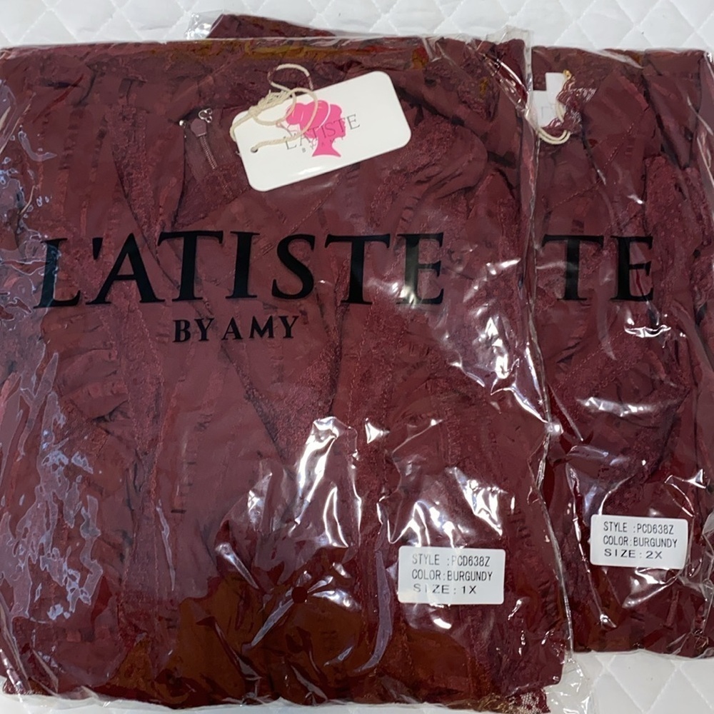 New L’atise by Amy Plus Size Lace Skater Dress - Picture 2 of 8